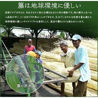 イケヒコ 宝麗 籐 あじろ織ラグ 350×1200mm 1100040012901 1枚（直送品）