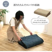 イケヒコ CXルクス 竹ラグ 1800×2400mm アイボリー 1100160144601 1枚（直送品）