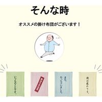 イケヒコ のんべえ 肌布団 ベージュ 1201530024202 1枚（直送品）