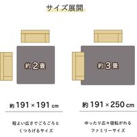 イケヒコ NSトロイ い草カーペット 1910×2500mm ブラウン 1060810064304 1枚（直送品）