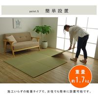 イケヒコ ネイラル 置き畳 700×700mm 1111500010446 1セット(6枚入)（直送品）