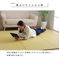 イケヒコ トリム 置き畳 700×700mm ブラック 1111520030409 1セット(4枚入)（直送品）