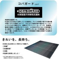 イケヒコ NCXクリア い草ラグ 1260×1900mm オレンジ 1070480202103 1枚（直送品）
