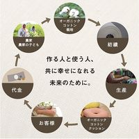 イケヒコ クララ シートクッション グリーン 1210250120201 1枚（直送品）