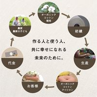 イケヒコ クララ い草入タタキ カークッション 430×430mm ベージュ 1230080020302 1枚（直送品）