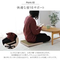 イケヒコ・コーポレーション mou(ムー) シート GN 40×40×4cm 1380000000000 1枚