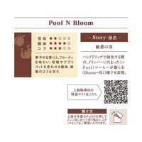 【ドリップコーヒー】UCC上島珈琲 上島珈琲店 ワンドリップコーヒー Pool N Bloom 1パック（5袋入）