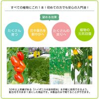 協和 ハイポニカ植物活力液 ストレート液 500ml 2057311 1本
