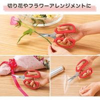 コモライフ やわらかハンドルのフラワーばさみ 390498 1個