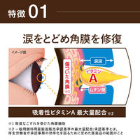 スマイル40プレミアムDX　15mL ライオン　目薬 年齢・酷使による眼疲労・かすみ ビタミンA配合眼科用薬【第2類医薬品】