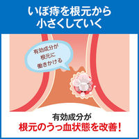 小林製薬 ヘモリンド 40錠 4987072053591 1個【第2類医薬品】