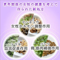 小林製薬 命の母アクティブ 168錠 1個【第3類医薬品】