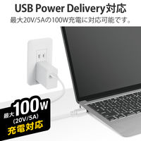 タイプCケーブル (USB-C to C) PD対応 100W 1m 白 U2C-CC5PC10NWH エレコム 1本