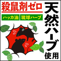 ネズミ一発退場（くん煙タイプ） アース製薬