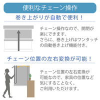 【幅1cm単位】抗ウイルスロールスクリーン幅121cm×高121~160cm tr4238-121x160-r110 1セット トーソー（直送品）