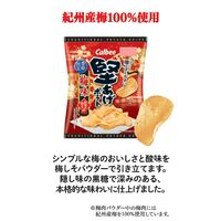 堅あげポテト 梅味 60g 6袋 カルビー スナック菓子