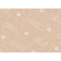 明和グラビア ダニクリアシート DCS-6畳用 90X350X3P 1セット(3枚入)（直送品）