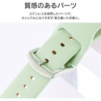 Apple Watch Series 1/2/3/4/5/SE/6/7 (38/40/41mm) バンド Vahane アイスグリーン（直送品）