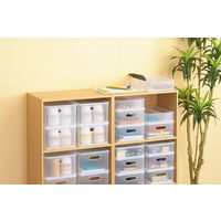 SANKA ナチュラ インボックス ピコ S NIB-PK-SCL 1個