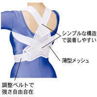 ミノウラ Style Up For Line 美筋サポート バストラインベルト Lサイズ ホワイト 1枚入×2セット（直送品）