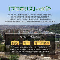 八幡物産 やわた ヘルスサポート プロポリス 1ケ月分 90粒入 1箱(90粒入)（直送品）