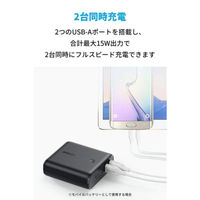 Anker PowerCore Fusion 5000 ホワイト バッテリー搭載USB充電器 4850mAh A1621021-9