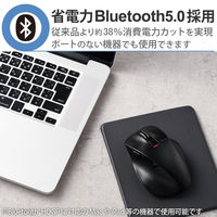 Bluetoothマウス 静音 無線 ワイヤレス 握りの極み Lサイズ 5ボタン 黒 M-XGL15BBSBK エレコム 1個（直送品）