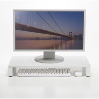 サンワサプライ 机上液晶モニタスタンド(D300・ホワイト) MR-LC302WN 1個（直送品）