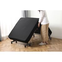 アイリスオーヤマ 折りたたみベッド OTB-PSN 1台（直送品）