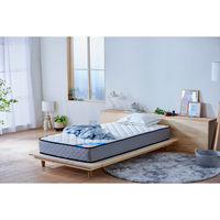 アイリスオーヤマ ポケットコイルマットレス PMTS22N-S 1枚