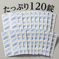 【入れ歯洗浄剤】 あらた Clesh 入れ歯洗浄剤 120錠 465701 1セット(1個×36)