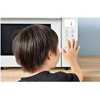 パナソニック オーブンレンジ NE-FS301-W 1台