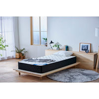 アイリスオーヤマ ポケットコイルマットレス PMTS21H-S 1枚