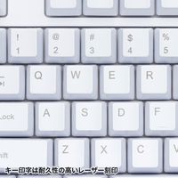 サンワサプライ 英語USBキーボード(ホワイト) SKB-E5UW 1台