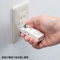 サンワサプライ 楽抜けマイクロタップ(2P・4個口) TAP-B58W 1個