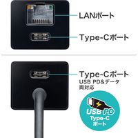 サンワサプライ USB Type-Cハブ付き ギガビットLANアダプタ USB-3TCH32BK 1個（直送品）