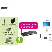 サンワサプライ USB2.0ハブ USB-HUB225GBKN 1個