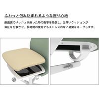 【組立設置込】コクヨ ファブレ革張 プレーンハイバック パネル肘 ブラック×ブラック×ポリッシュ 1脚（直送品）