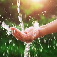 【ミネラルウォーター】Vittel ヴィッテル PET 500ml 1箱（24本入）