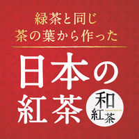 アサヒ飲料 和紅茶 無糖ストレート 500ml 1箱（24本入）