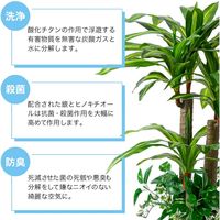 ファミリー・ライフ 人工観葉植物 ベンジャミン&幸福の木 インテリアグリーン 0396510 1セット(2本入)