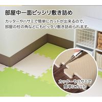 シービージャパン ジョイントマット ポルト モンブラン 4573306861485-4 1セット