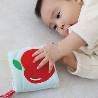 エド・インター 布のおもちゃ もぐもぐばあ 1セット