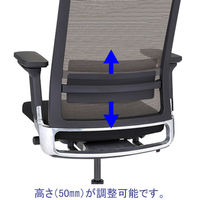 藤沢工業 TOKIO オフィスチェア ブラック OCV21SA BKBORDER 1脚（取寄品）