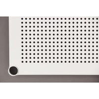 アイリスオーヤマ ポール直径25mm パンチングラック 棚板 ホワイト 幅610×奥行460mm MR-61TP 1枚　（直送品）