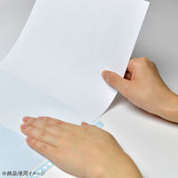 コクヨ クリヤーブック替紙 B4S ラ-884NM 1セット(30枚:10枚×3パック)