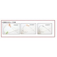 エス・ティ・ジャパン ペリスタルティックポンプ用チューブ Tygon 152mm 赤/赤 6本入 1.14-RED-F 1個(6本)（直送品）