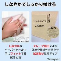 Towper（タウパー） ペーパータオル エコマックス S 1パック（200枚入）日本製紙クレシア