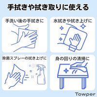 Towper（タウパー） ペーパータオル エコマックス S 1セット（1パック（200枚入）×42）日本製紙クレシア