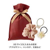 ヘッズ 不織布リボン付ギフトバッグーXS/エンジ 100枚（10枚×10セット）